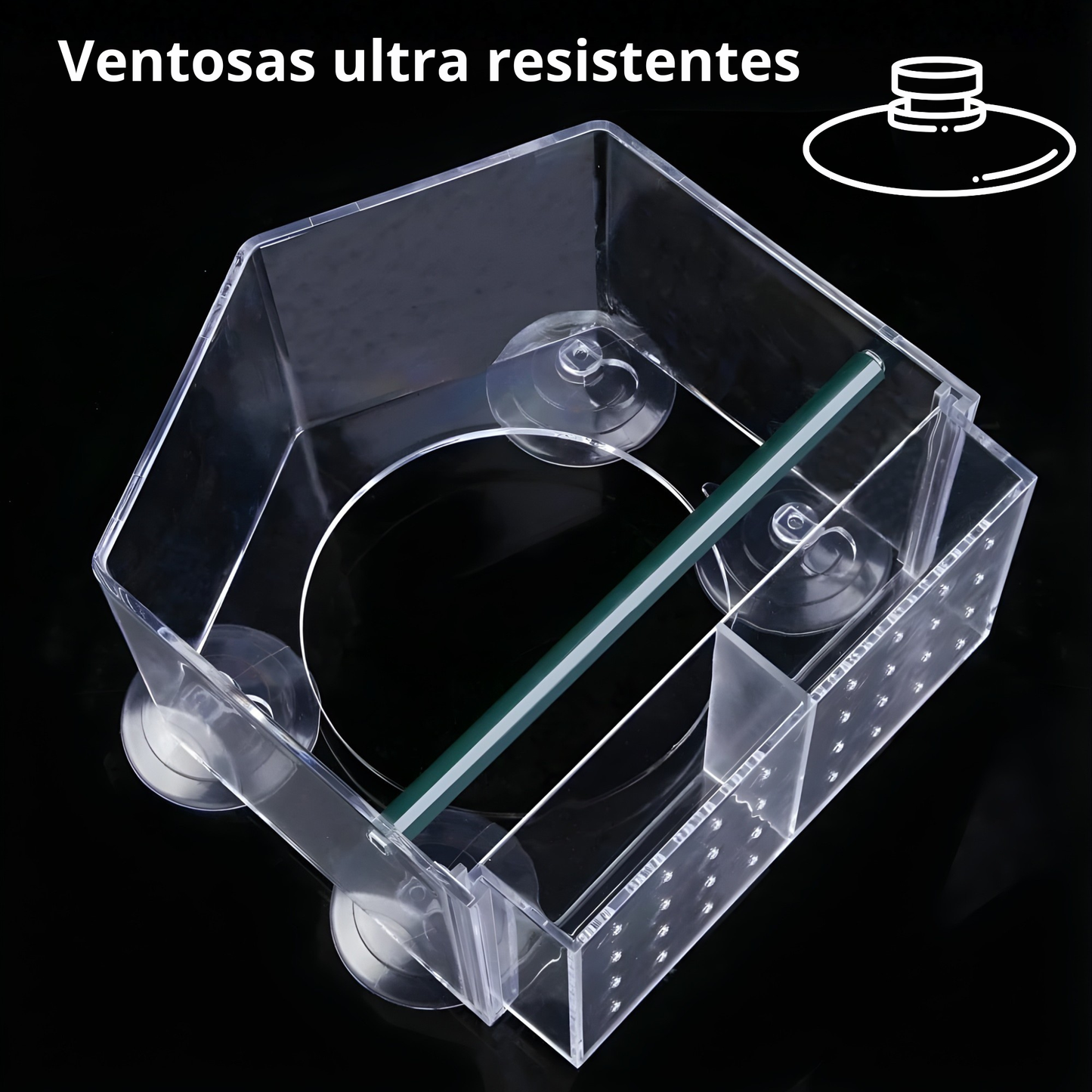 Comedero de Aves con Ventosas Ultra Resistentes para Ventana