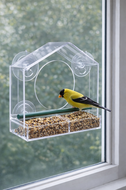 Comedero de Aves con Ventosas Ultra Resistentes para Ventana