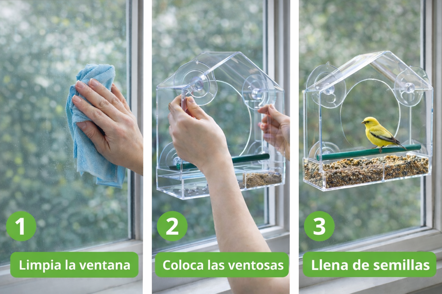 Comedero de Aves con Ventosas Ultra Resistentes para Ventana